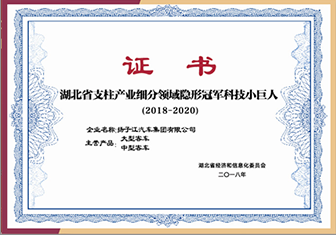 湖北省支柱产业细分领域隐形冠军科技小巨人